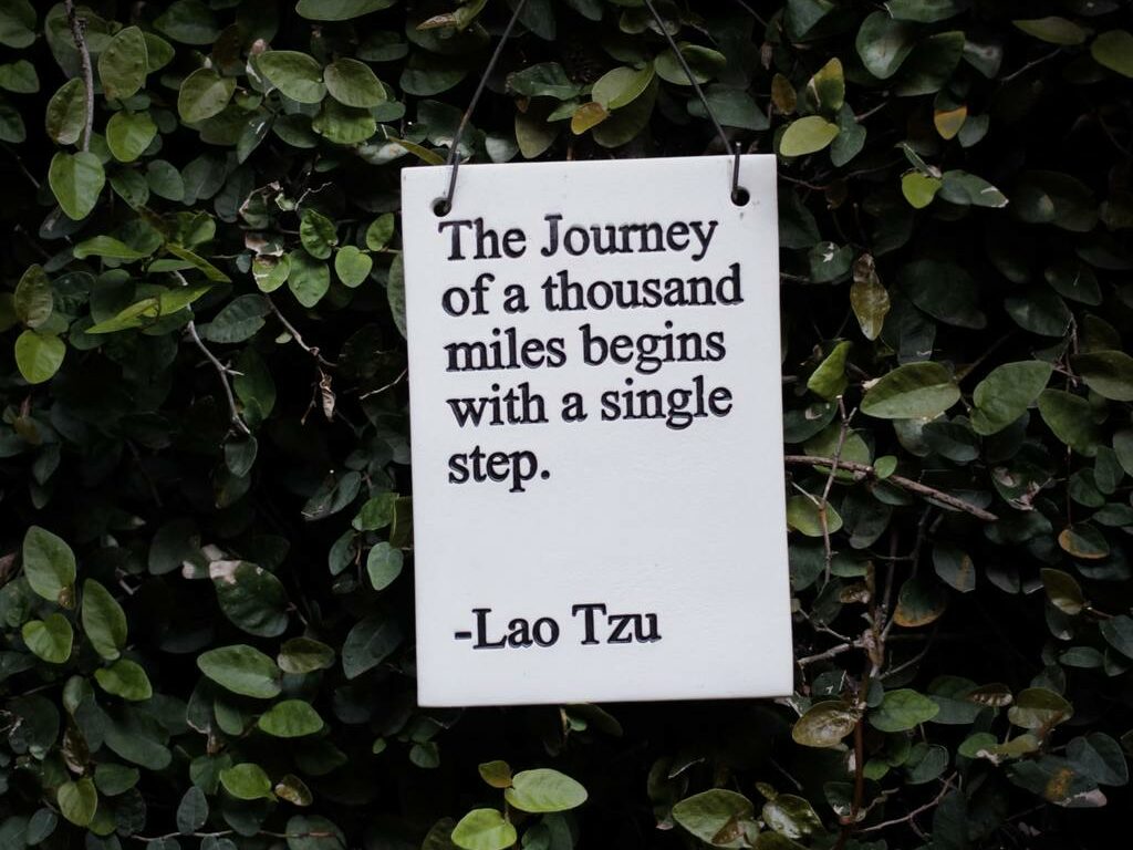 The journey of a thousand miles begins with a single step. - Lao Tzu