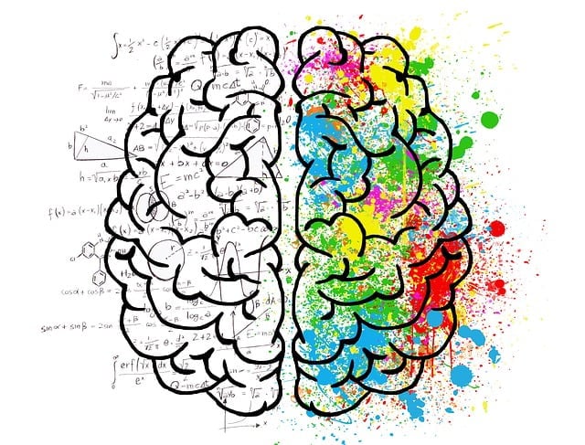 both sides of the brain, logical and creative